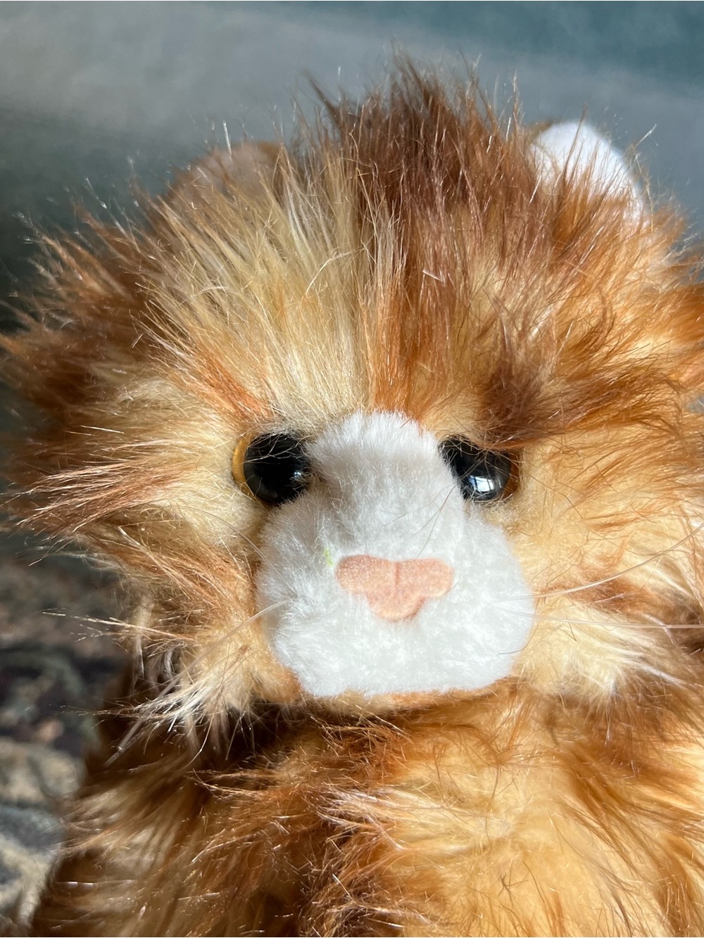 Ty Classic Kitty Cat Jumbles Calico Brown Tabby White Paw Long Hair Plush 2014